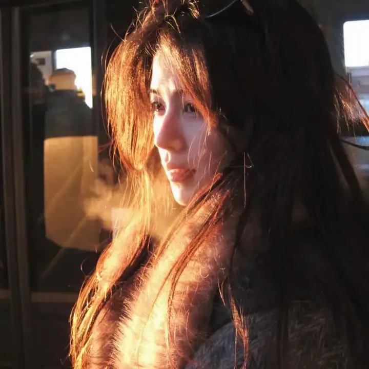 油麻菜籽海报